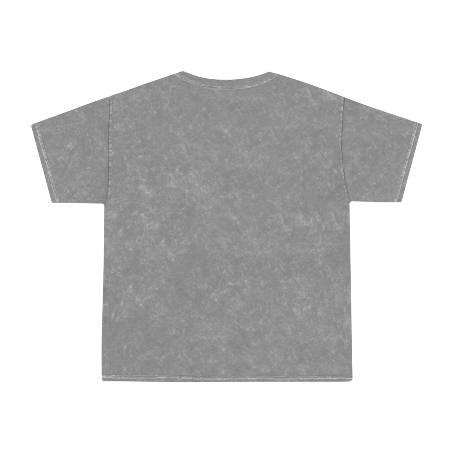 LITTLE FAMILY VAN Mineral Wash Tee