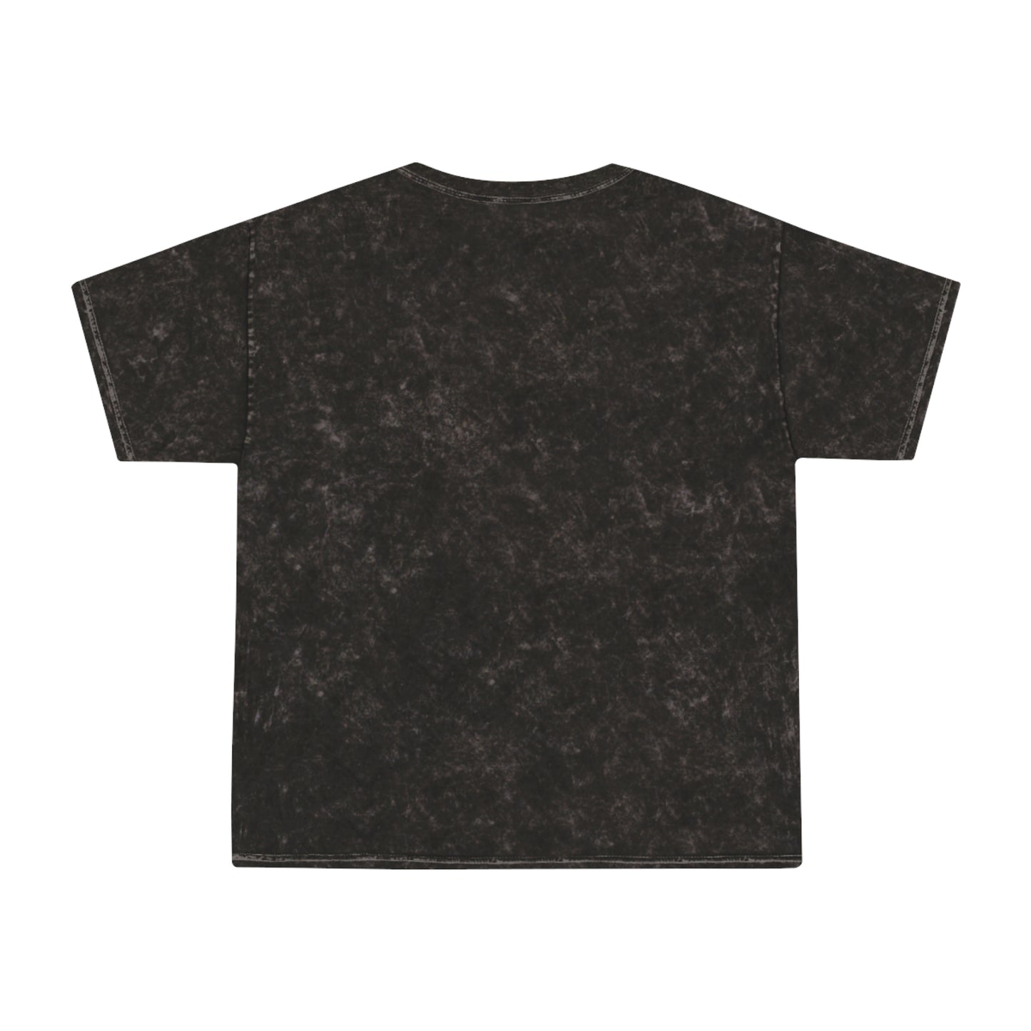 LITTLE FAMILY VAN Mineral Wash Tee